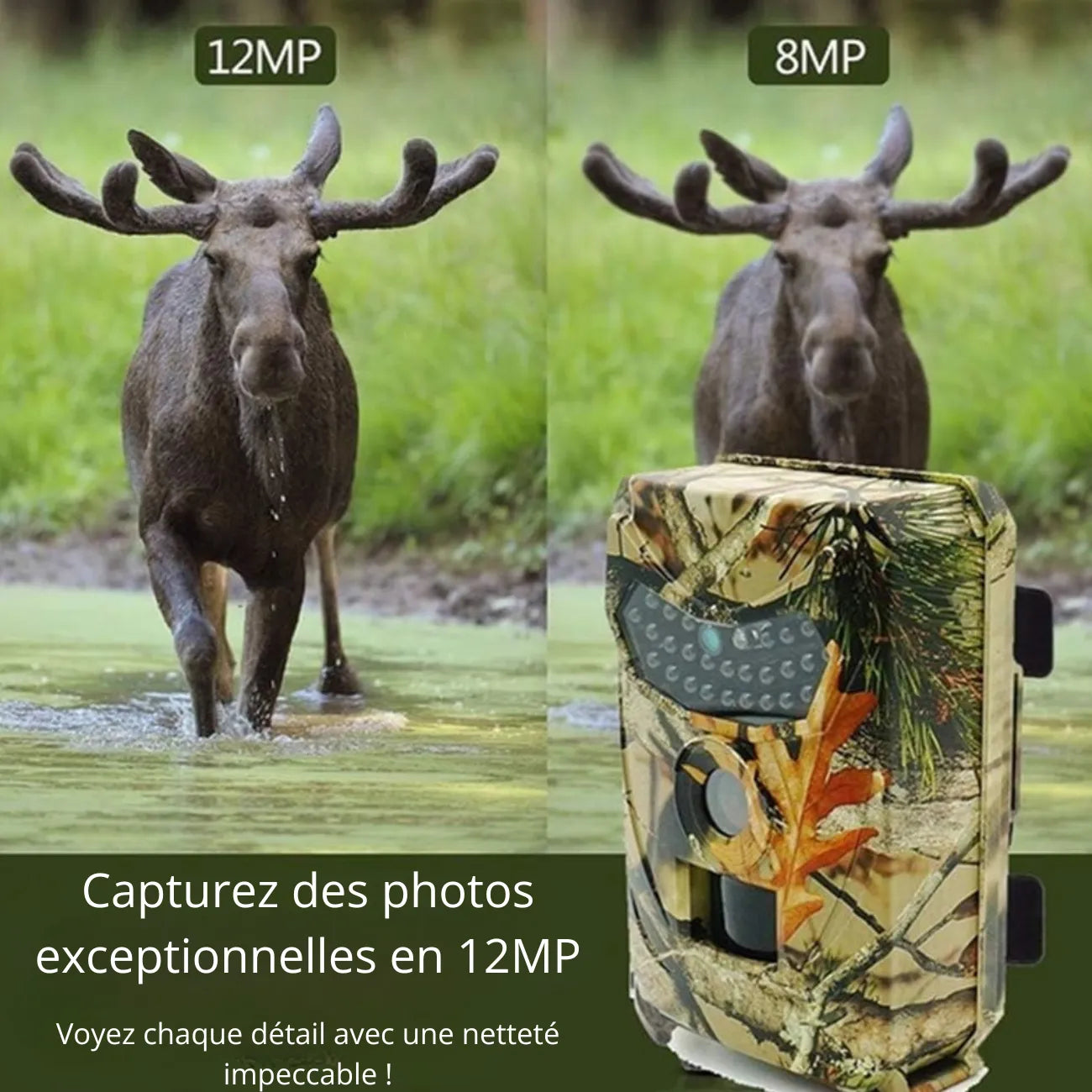 Wildkamera 12 MP HD | Berggrat
