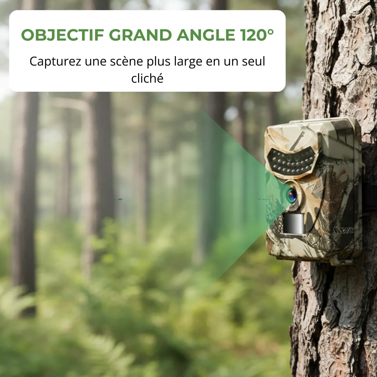 Wildkamera 12 MP HD | Berggrat