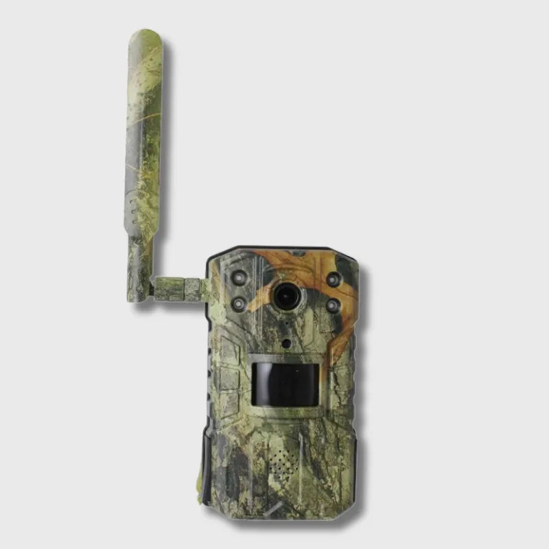 Wildkamera mit 4G & Solarbetrieb | Berggrat