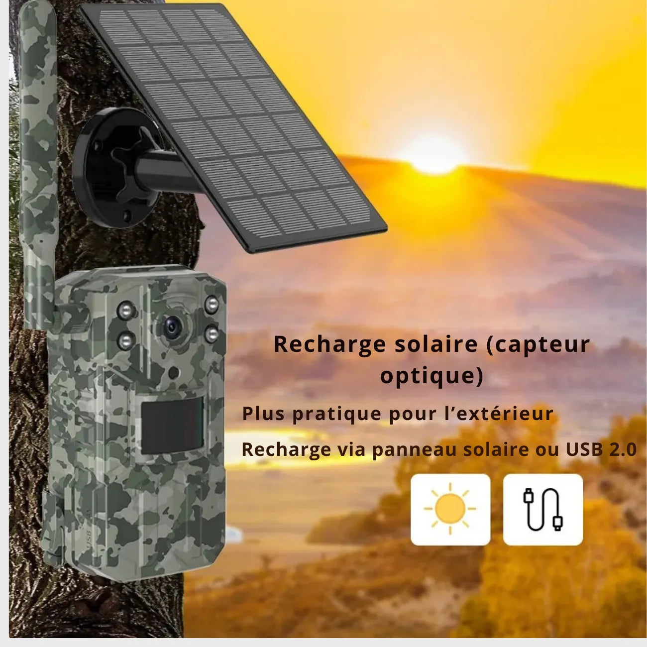 Wildkamera mit 4G & Solarbetrieb | Berggrat