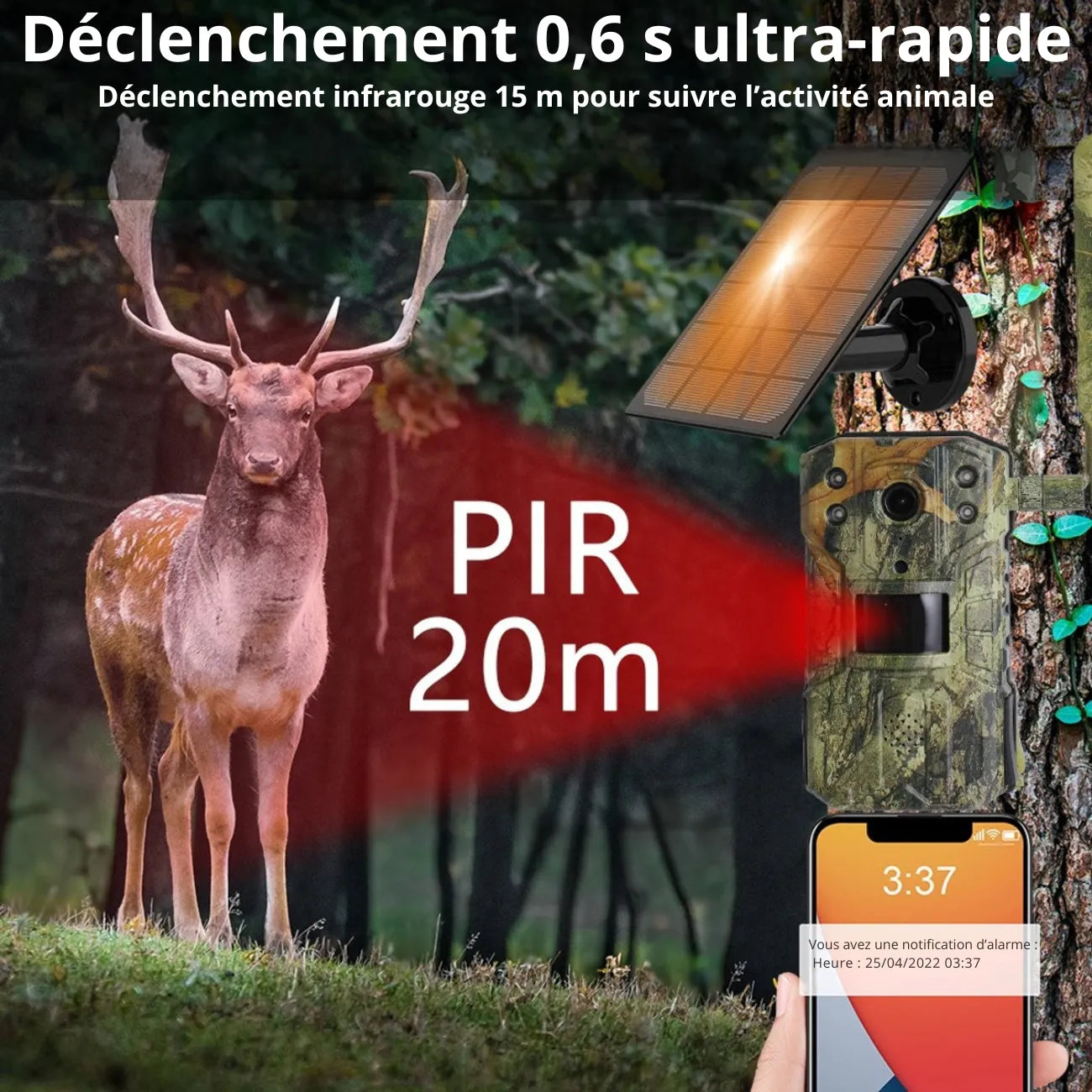 Wildkamera mit 4G & Solarbetrieb | Berggrat