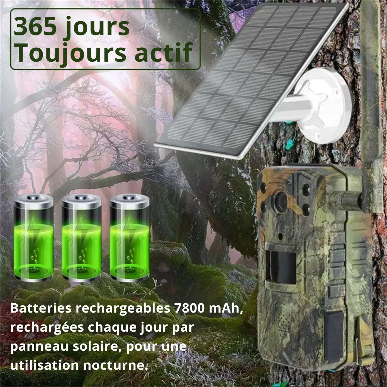 Wildkamera mit 4G & Solarbetrieb | Berggrat