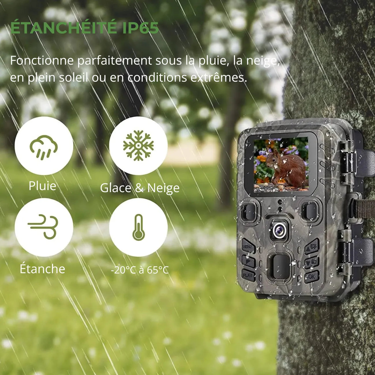 Wildkamera mit Bluetooth & WLAN | Berggrat