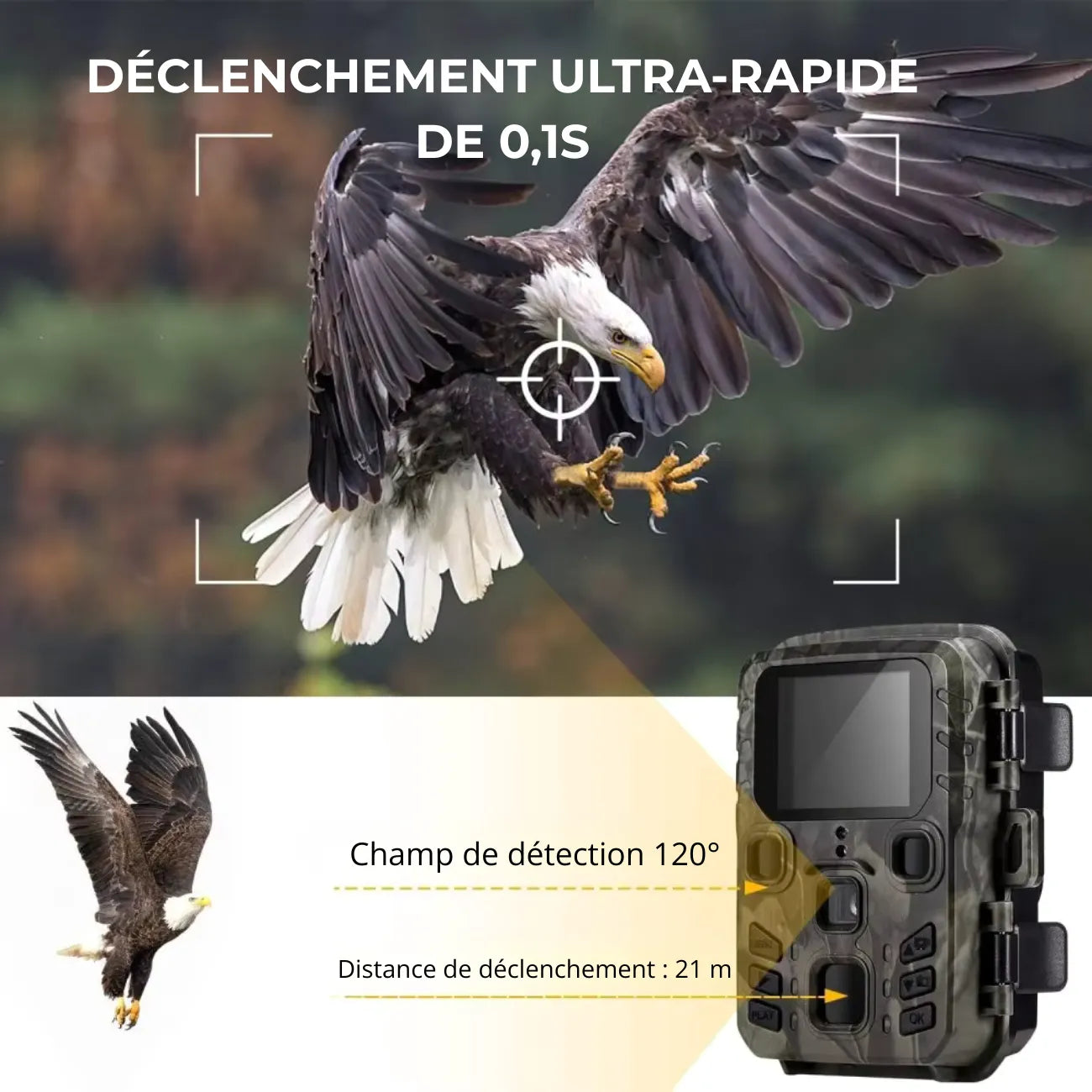Wildkamera mit Bluetooth & WLAN | Berggrat