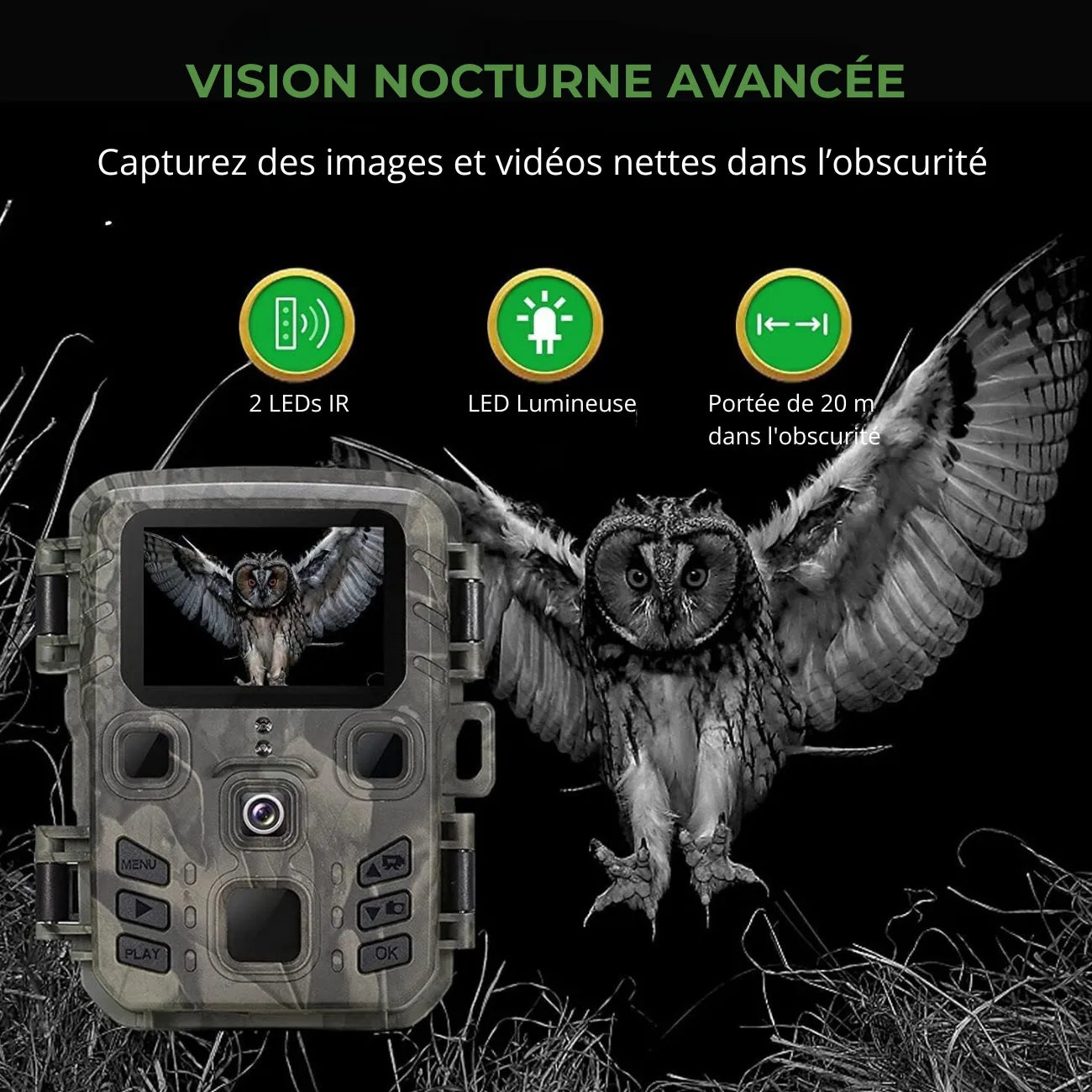 Wildkamera mit Bluetooth & WLAN | Berggrat