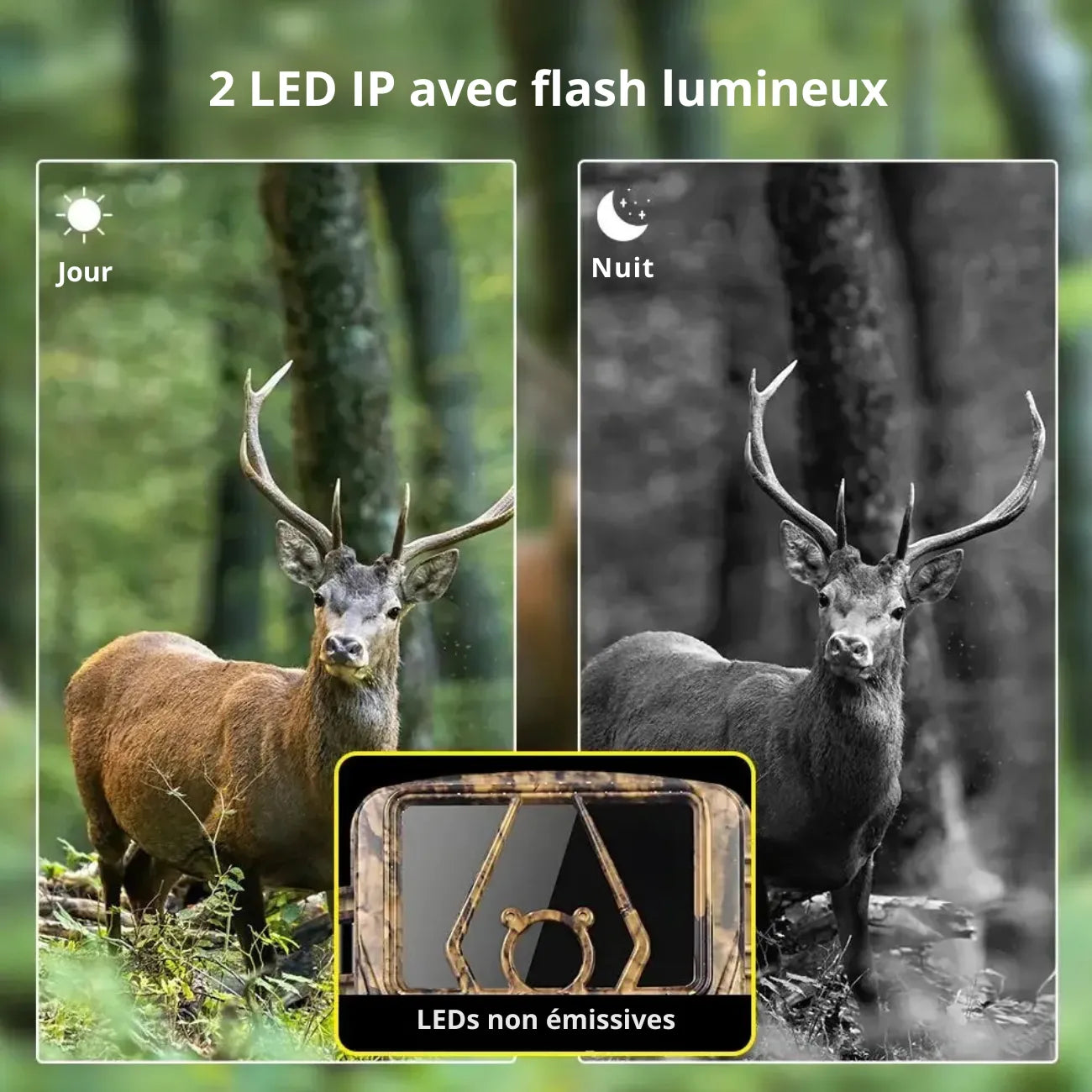 Wildkamera Ultra HD mit 4G
