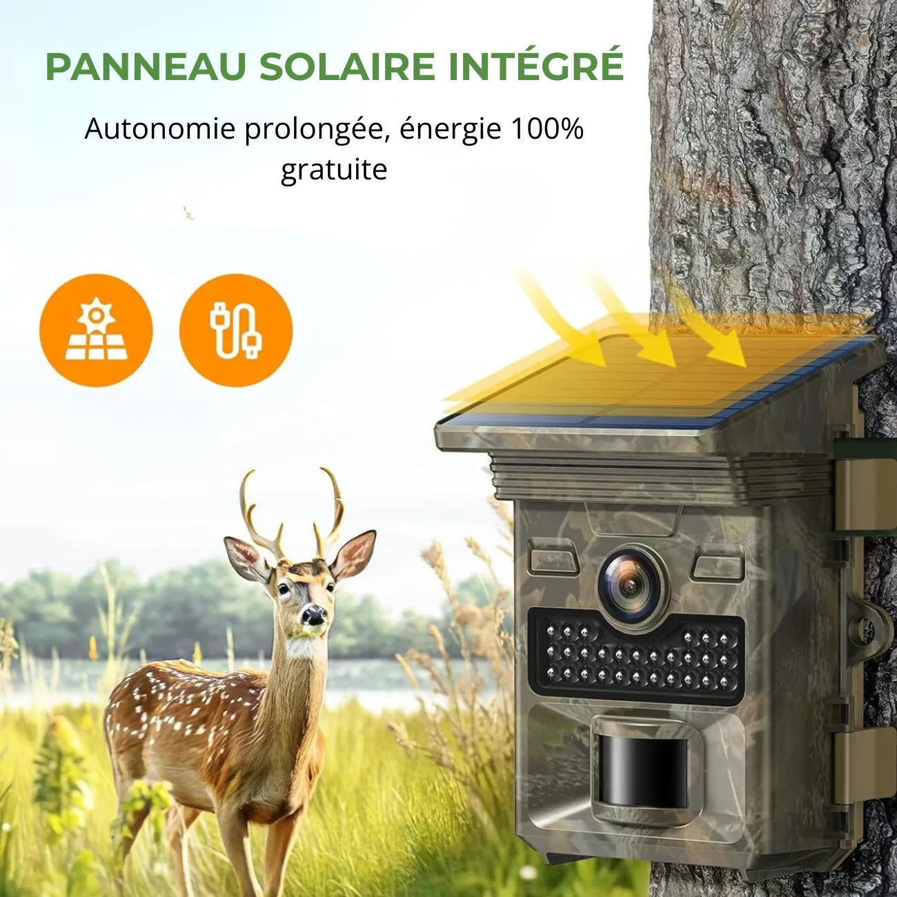 Wildkamera mit Solarpanel | Berggrat