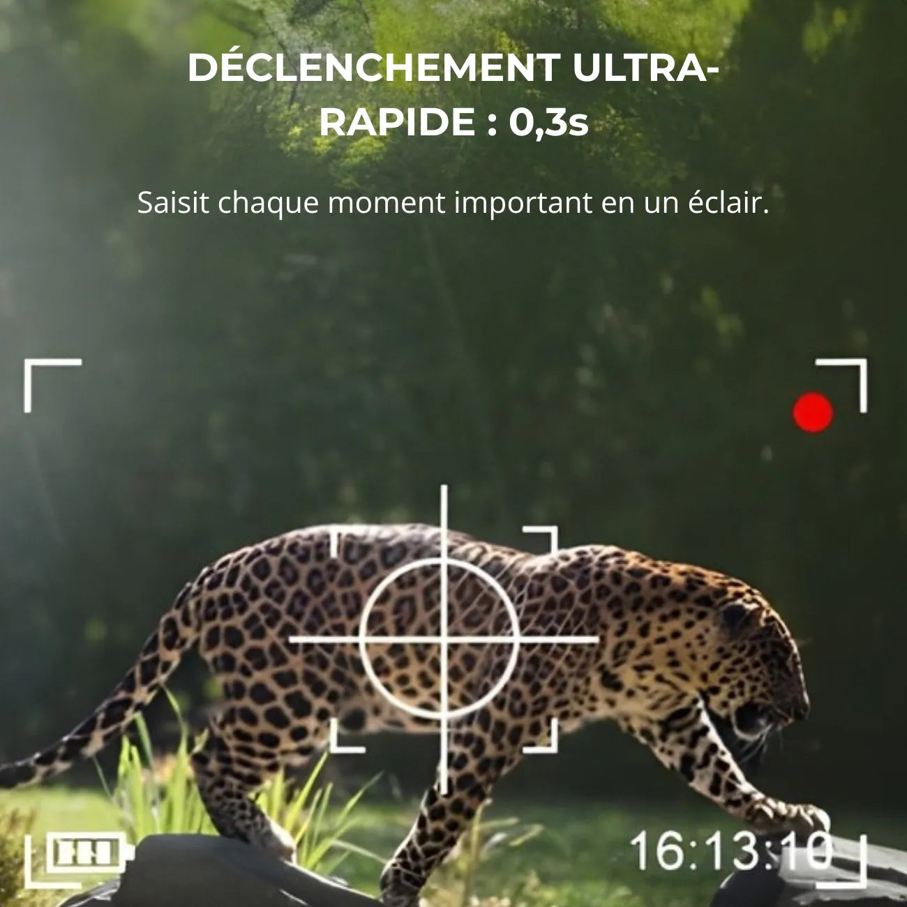 Wildkamera mit Solarpanel | Berggrat