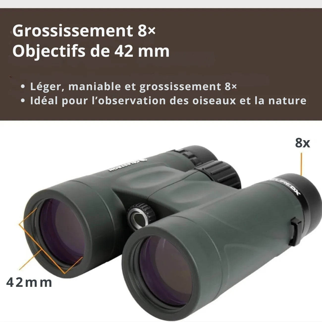 Wander-Taschenfernglas 8x42 | Berggrat