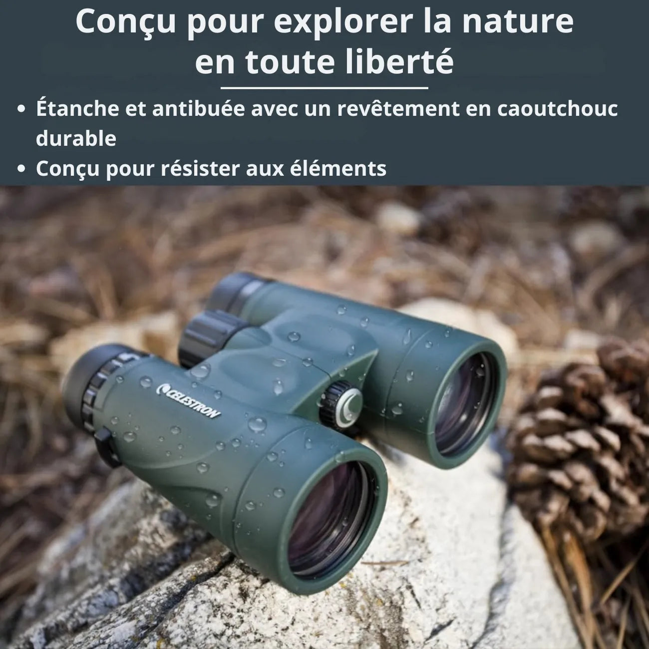 Wander-Taschenfernglas 8x42 | Berggrat