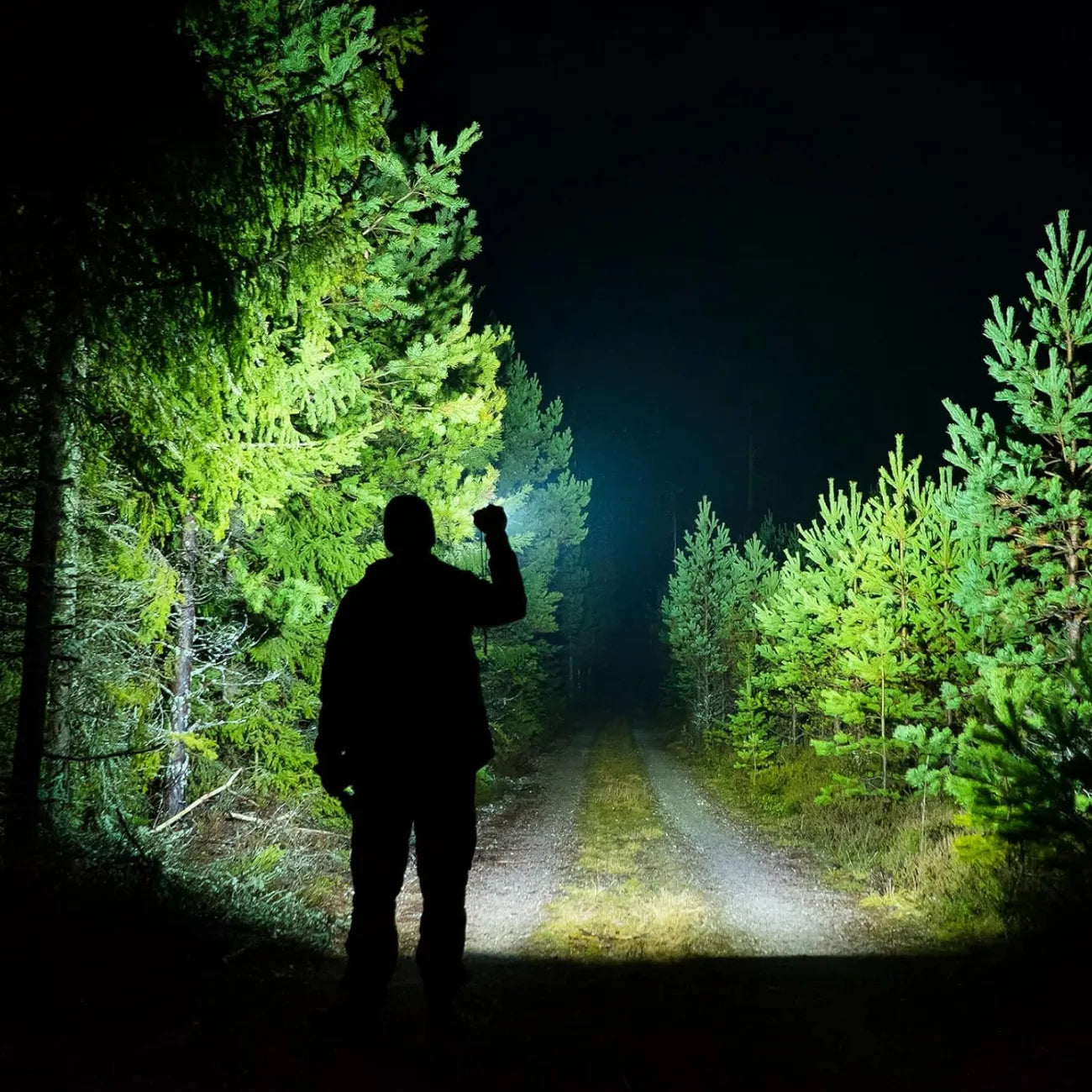 LED-Taschenlampe fürs Wandern | Berggrat