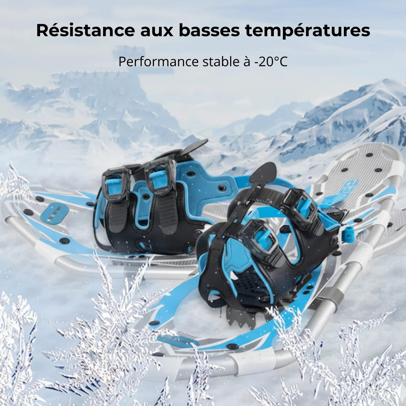 Alu-Schneeschuhe mit Stöcken | Berggrat