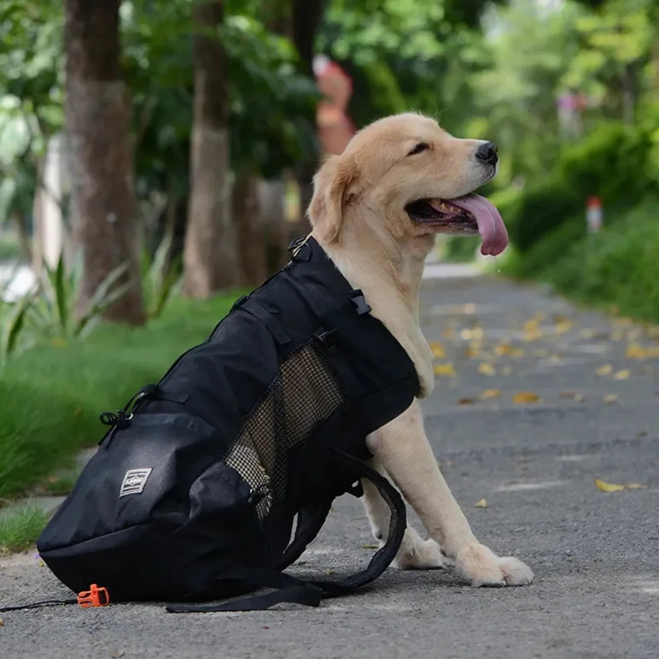 Hunderucksack für Wanderungen