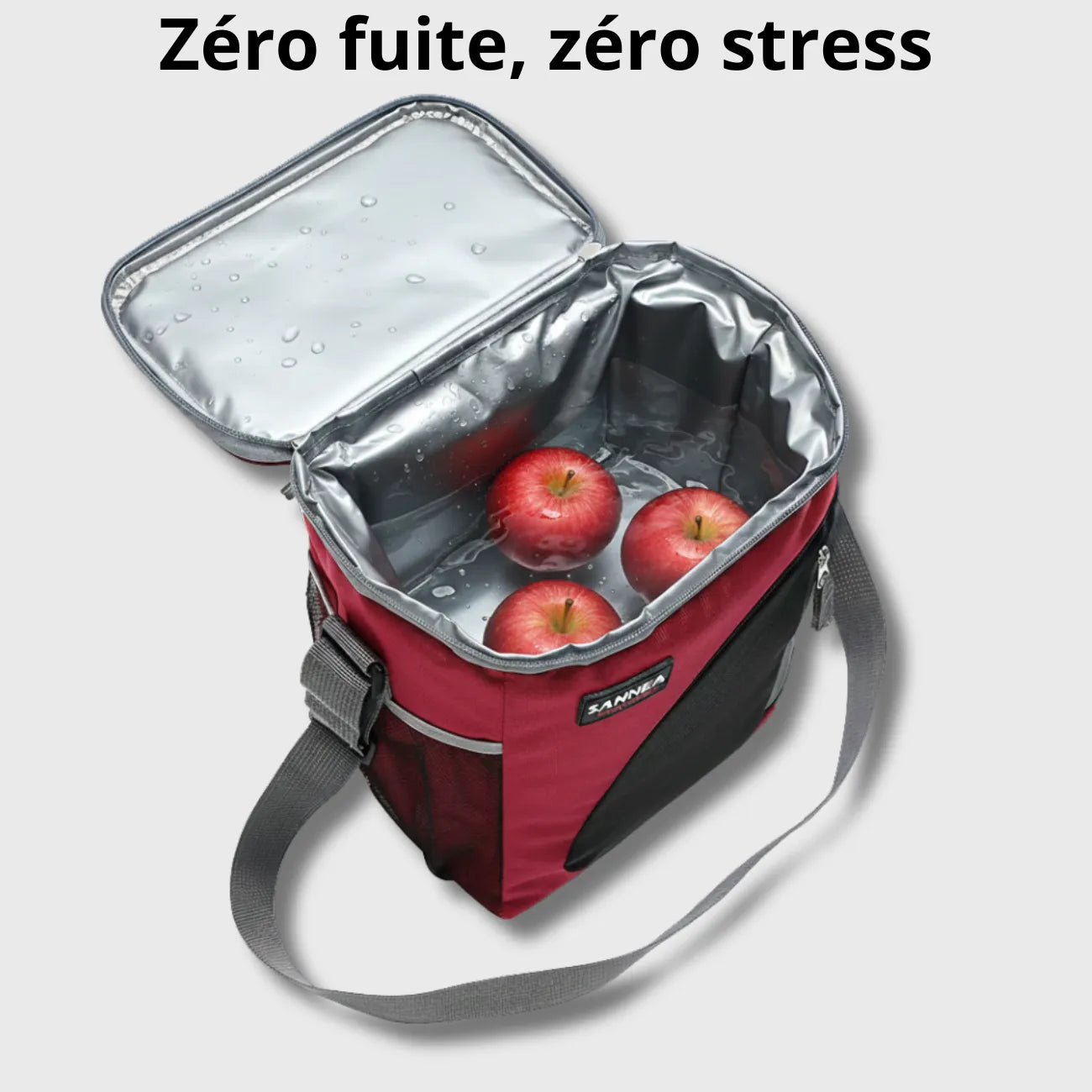 Isolierte Lunchtasche 9L