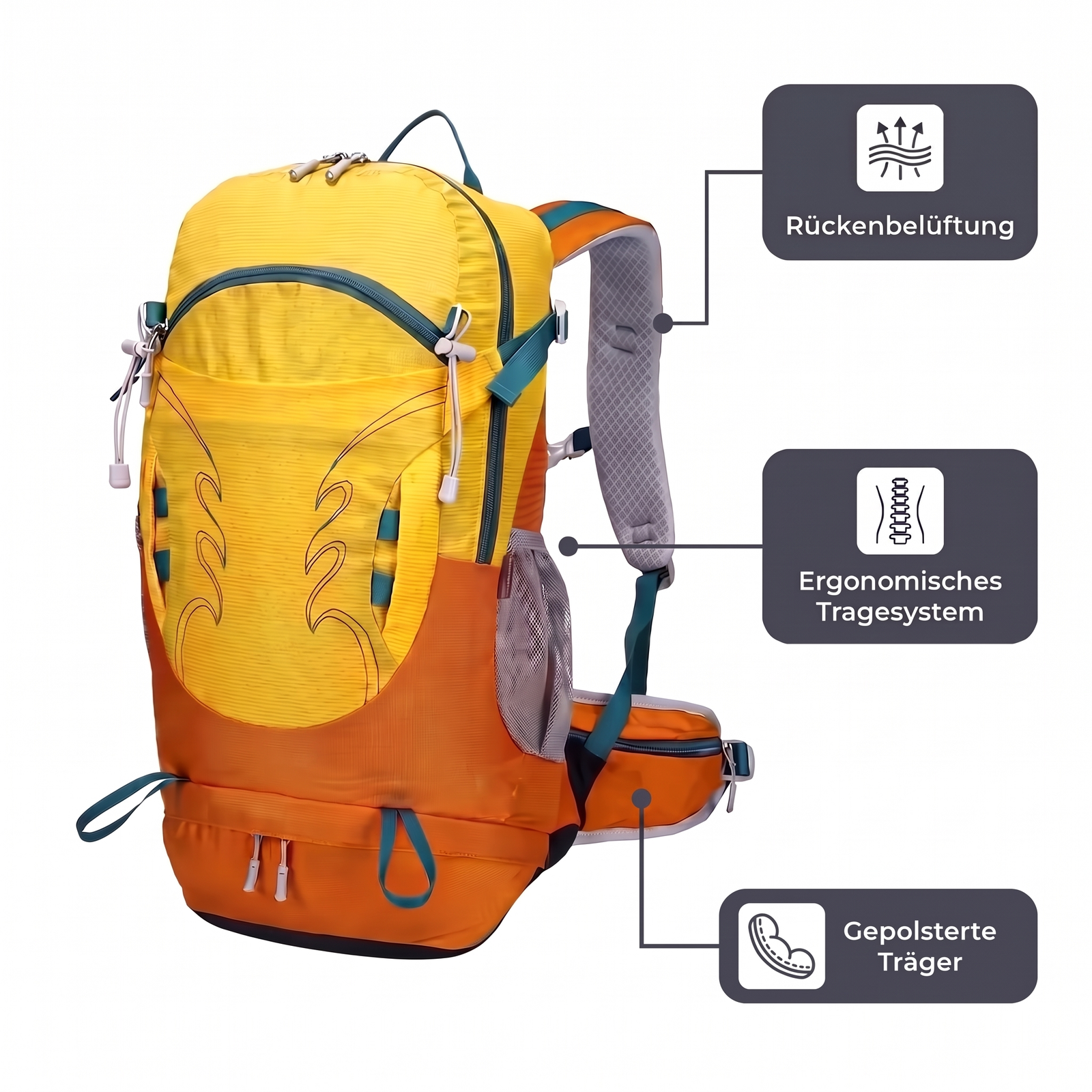 Wanderrucksack 30L für draußen – Rückenbelüftung und Träger
