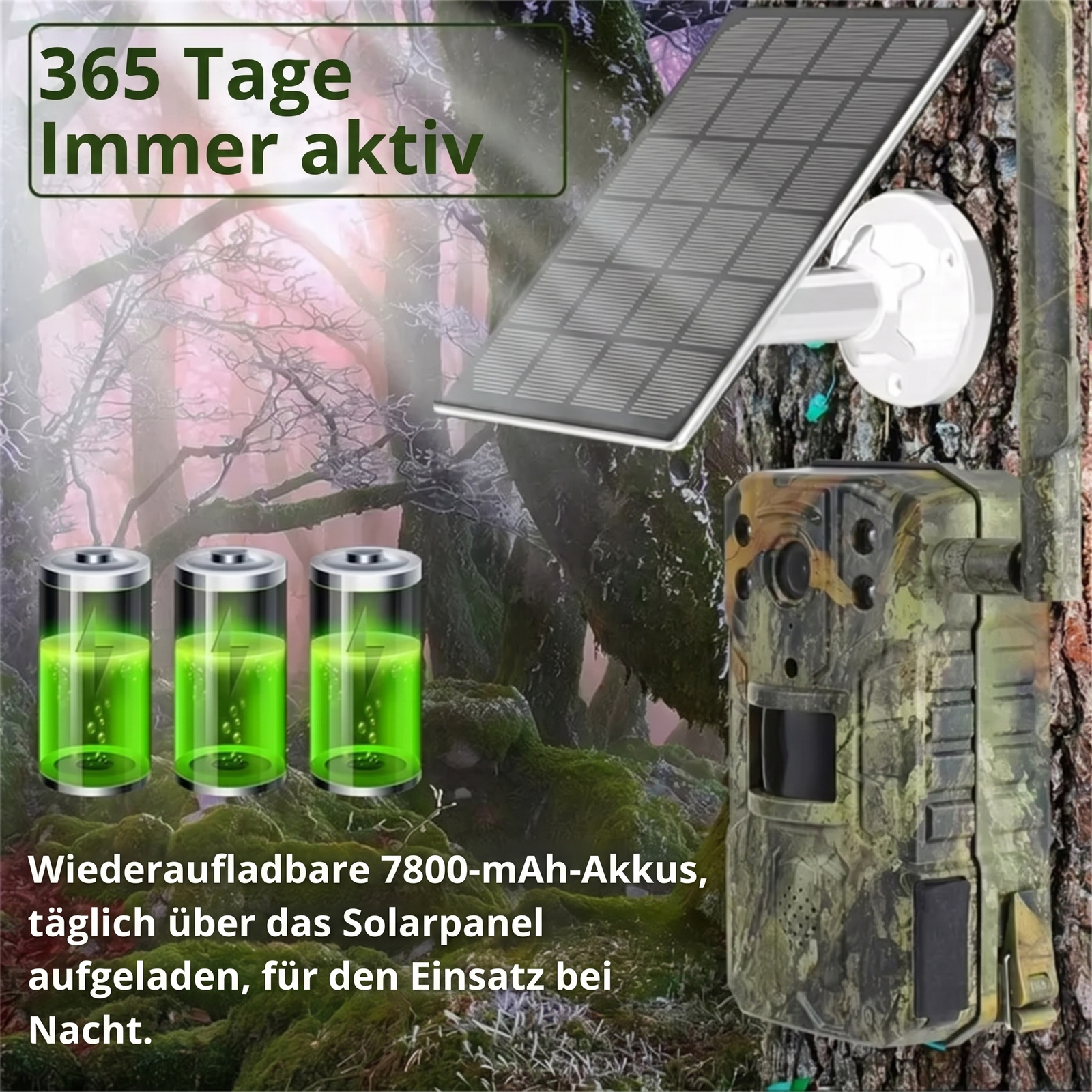 Wildkamera mit 4G & Solarbetrieb | Berggrat