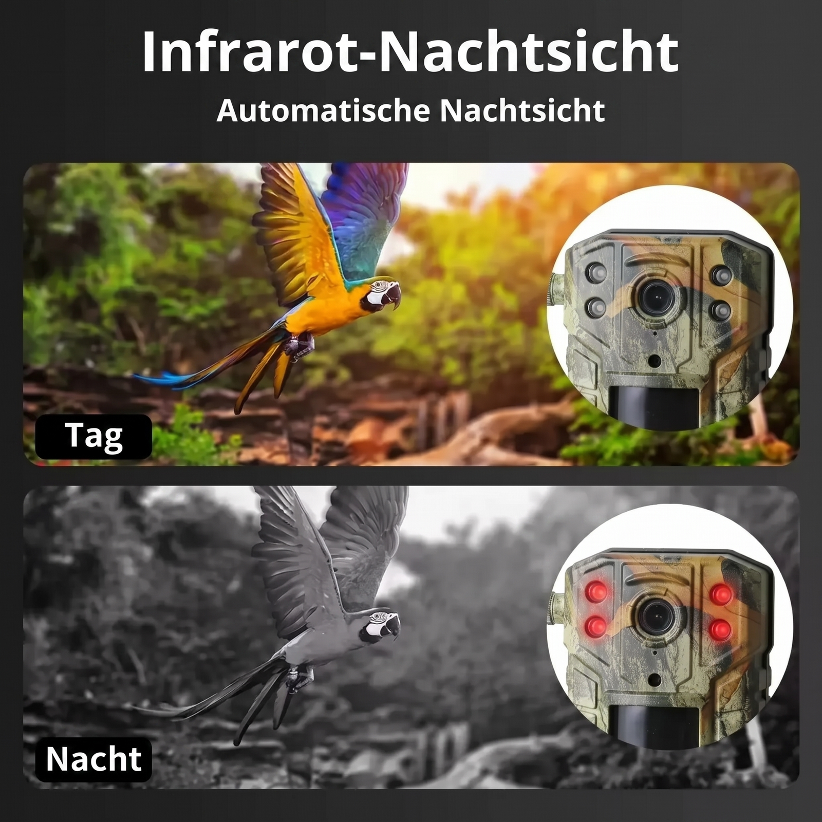 Wildkamera mit 4G & Solarbetrieb | Berggrat