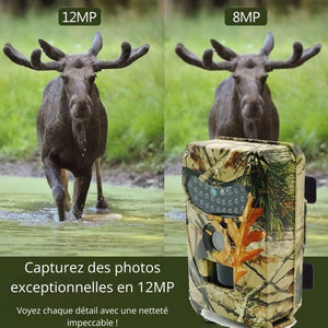 Wildkamera 12 MP HD | Berggrat