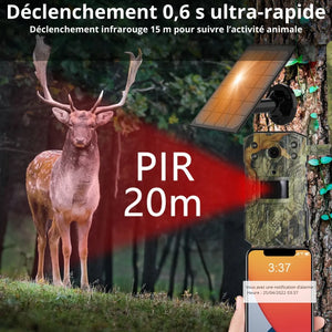 Wildkamera mit 4G & Solarbetrieb