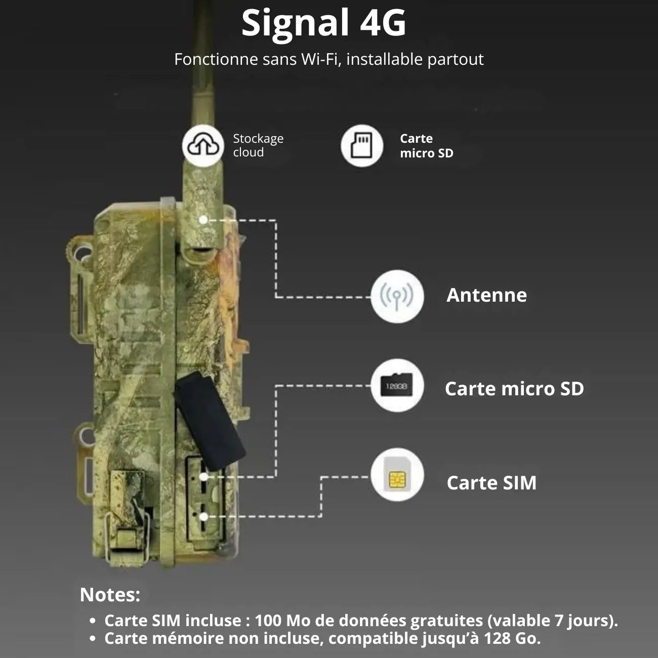Wildkamera mit 4G & Solarbetrieb | Berggrat