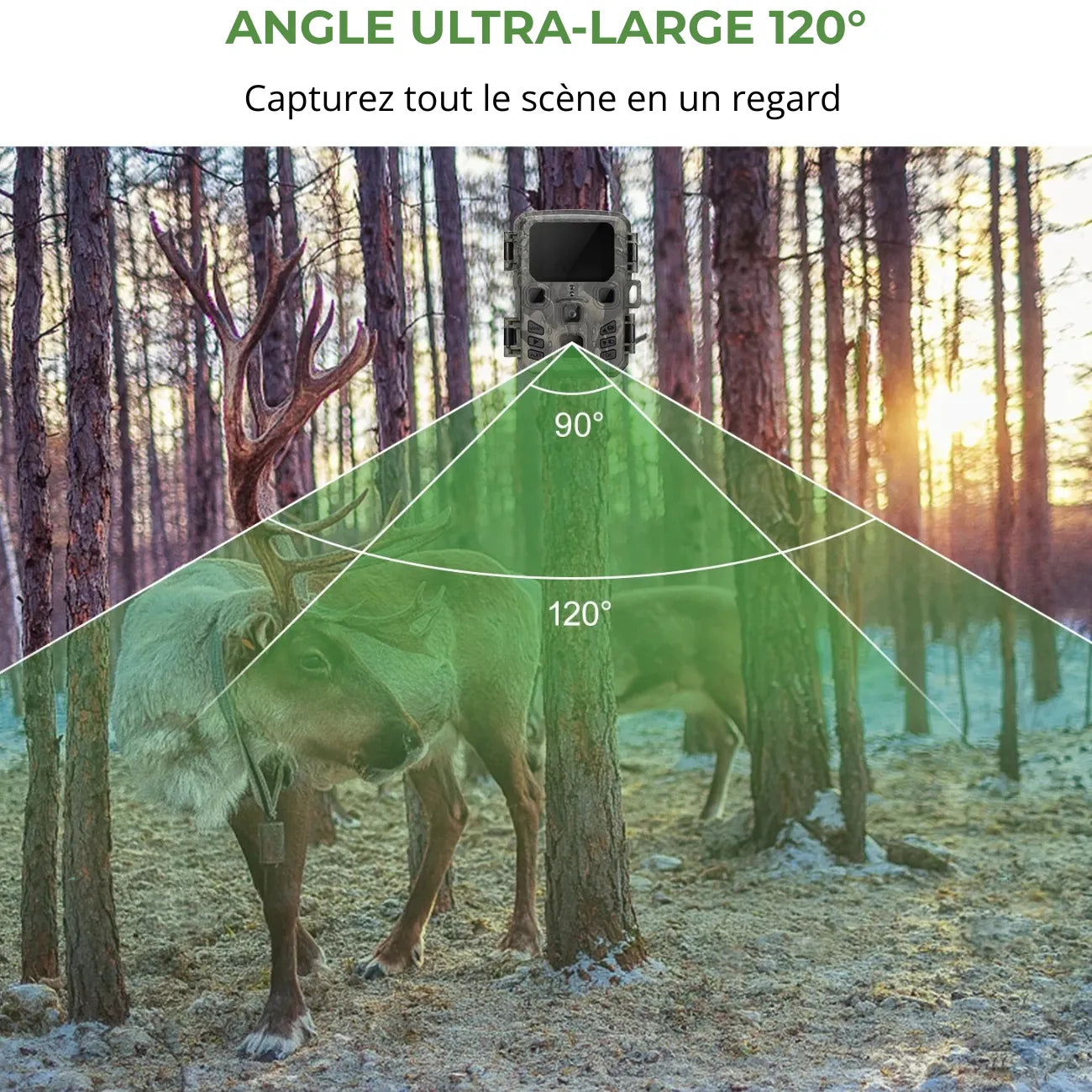 Wildkamera mit Bluetooth & WLAN | Berggrat