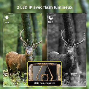 Wildkamera Ultra HD mit 4G