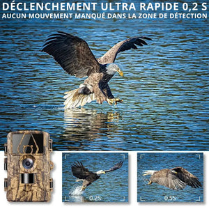 Wildkamera Ultra HD mit 4G