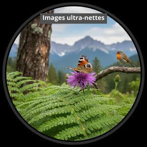 Starkes Fernglas fürs Wandern 10x42