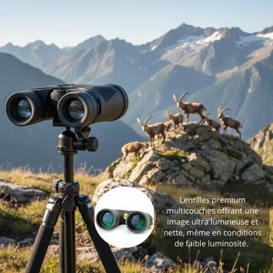 Bergfernglas 10x42 für klare Fernsicht
