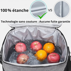 Isolierte Thermo-Kühltasche 12L