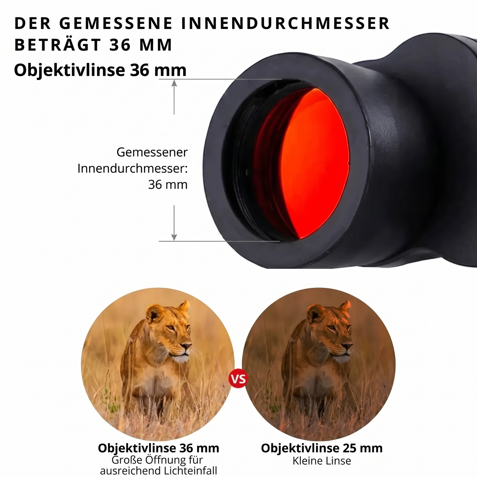 Fernglas gemessener Innendurchmesser 36 mm Objektivlinse Vergleich