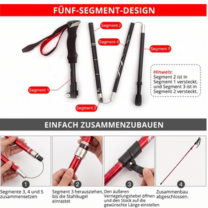Fünf-Segment-Design - Trekking-Wanderstöcke