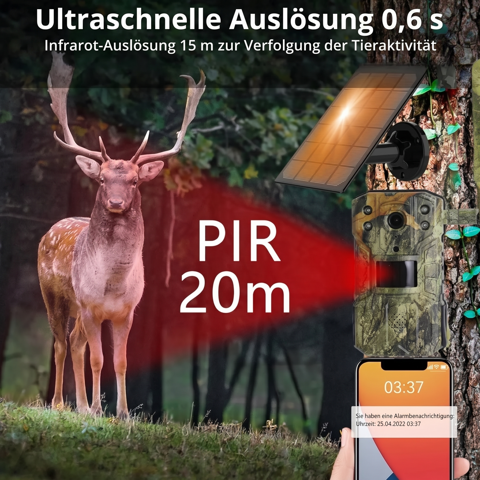 Wildkamera mit 4G & Solarbetrieb | Berggrat