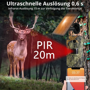 Wildkamera mit 4G & Solarbetrieb | Berggrat