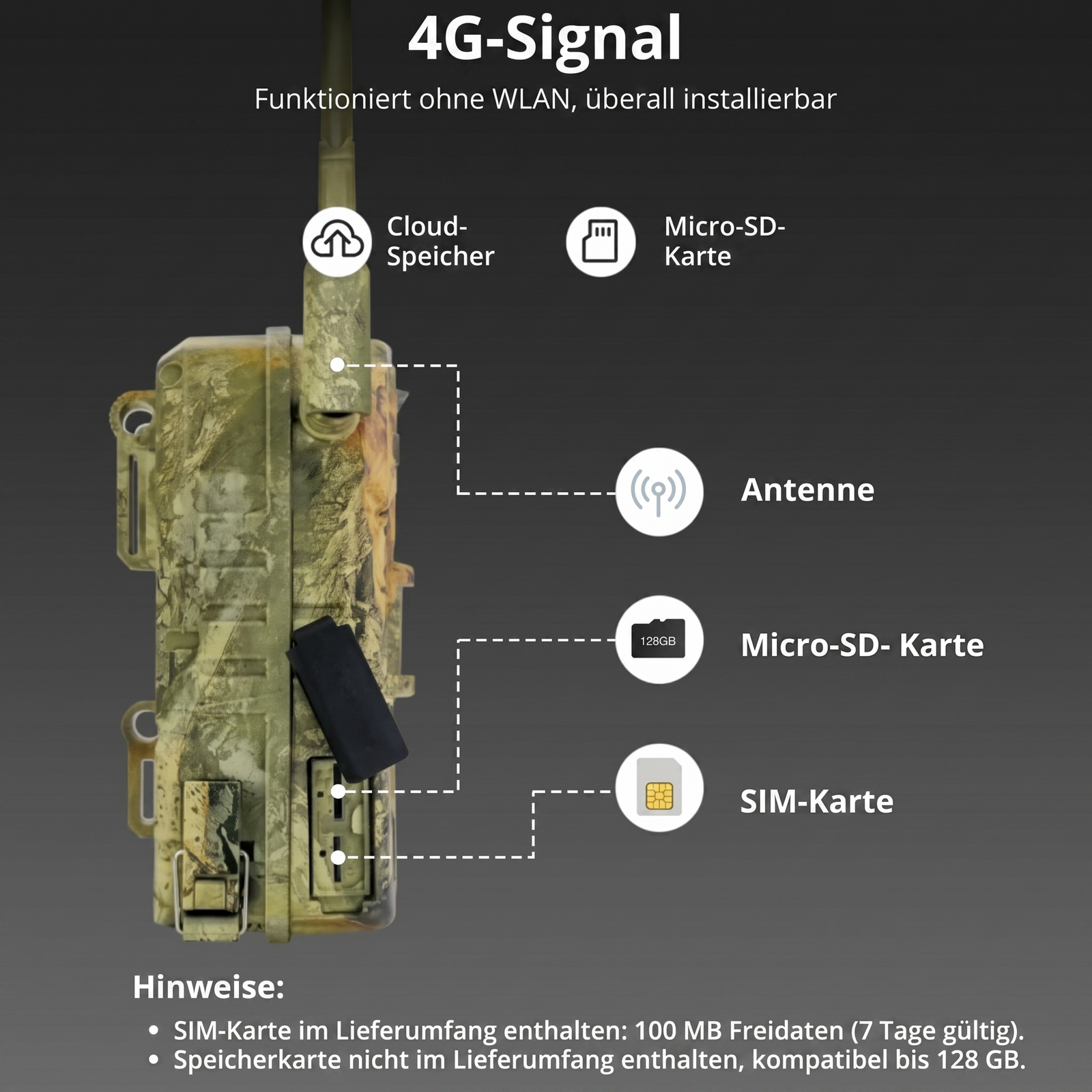 Wildkamera mit 4G & Solarbetrieb | Berggrat
