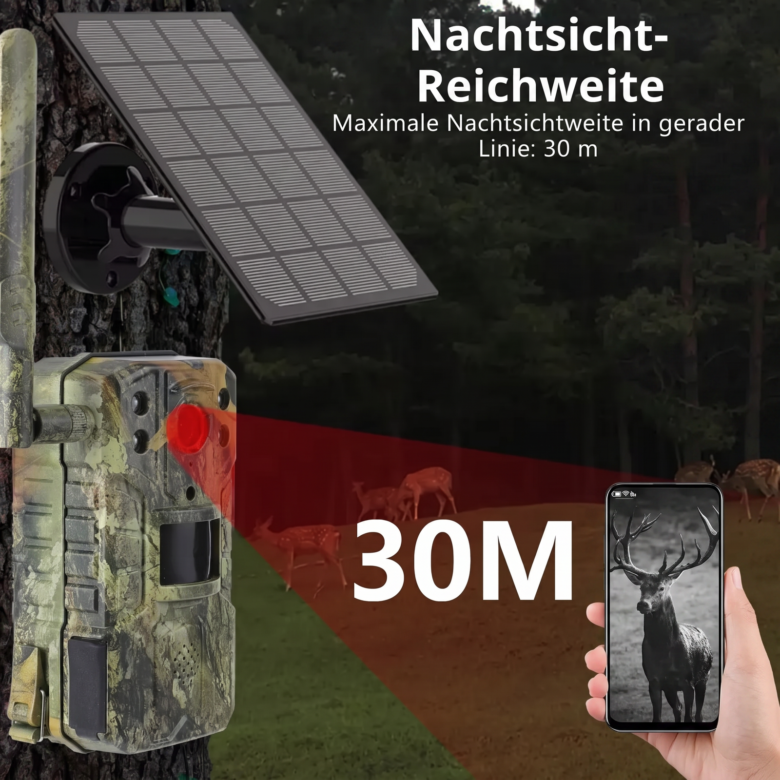 Wildkamera mit 4G & Solarbetrieb | Berggrat