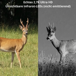 Wildkamera mit 4G & Solarbetrieb | Berggrat