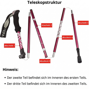 Teleskopstruktur