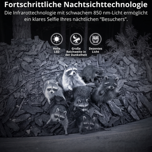 Mini-Wildkamera - Fortschrittliche Nachtsichttechnologie
