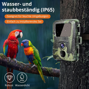 Mini-Wildkamera - Wasser- und staubbeständig IP65