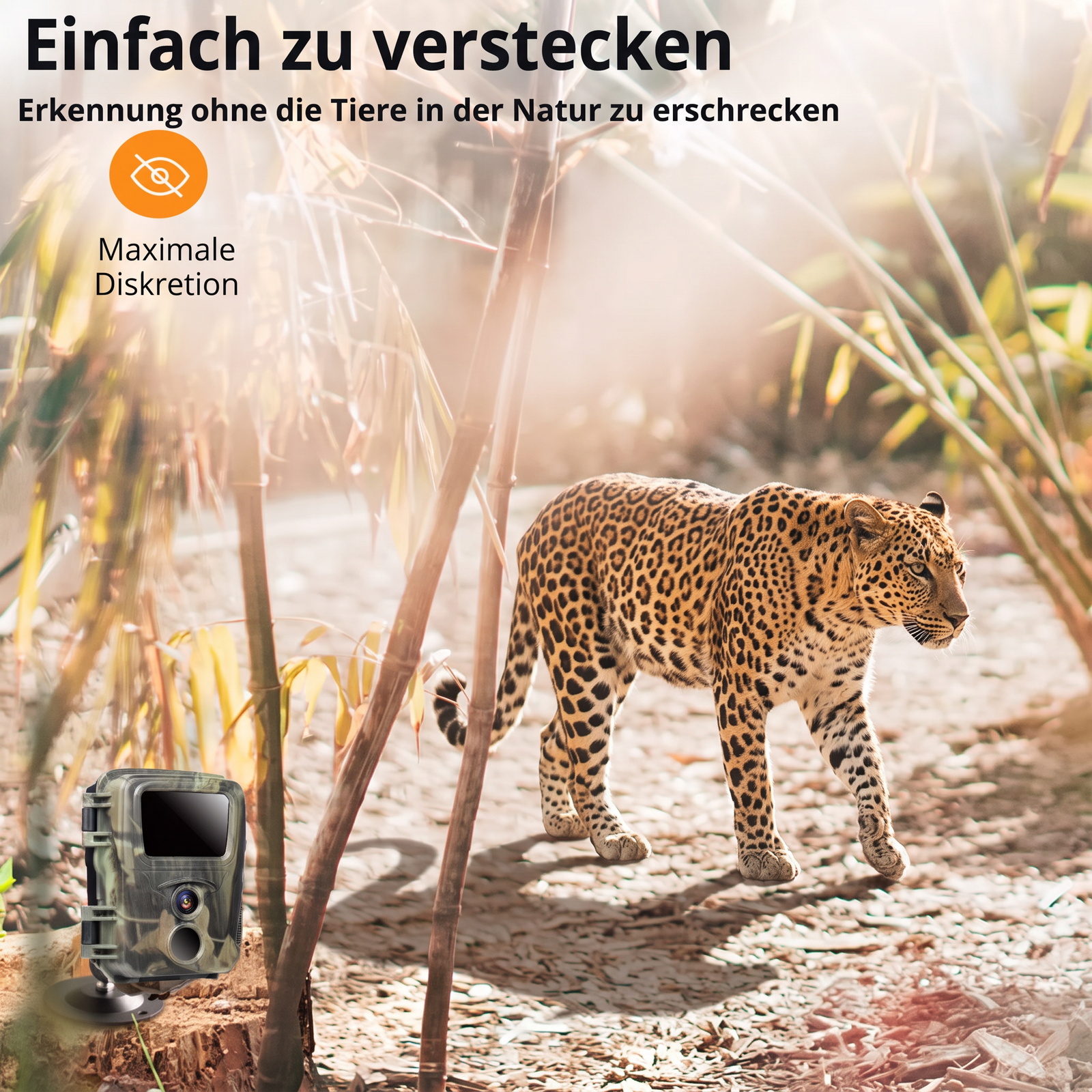 Mini-Wildkamera - Einfach zu verstecken