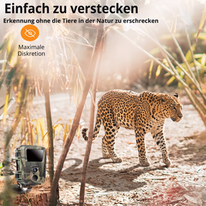 Mini-Wildkamera - Einfach zu verstecken