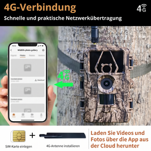 4G-Verbindung Wildkamera