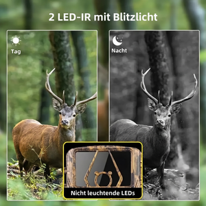 2 LED-IR mit Blitzlicht Wildkamera