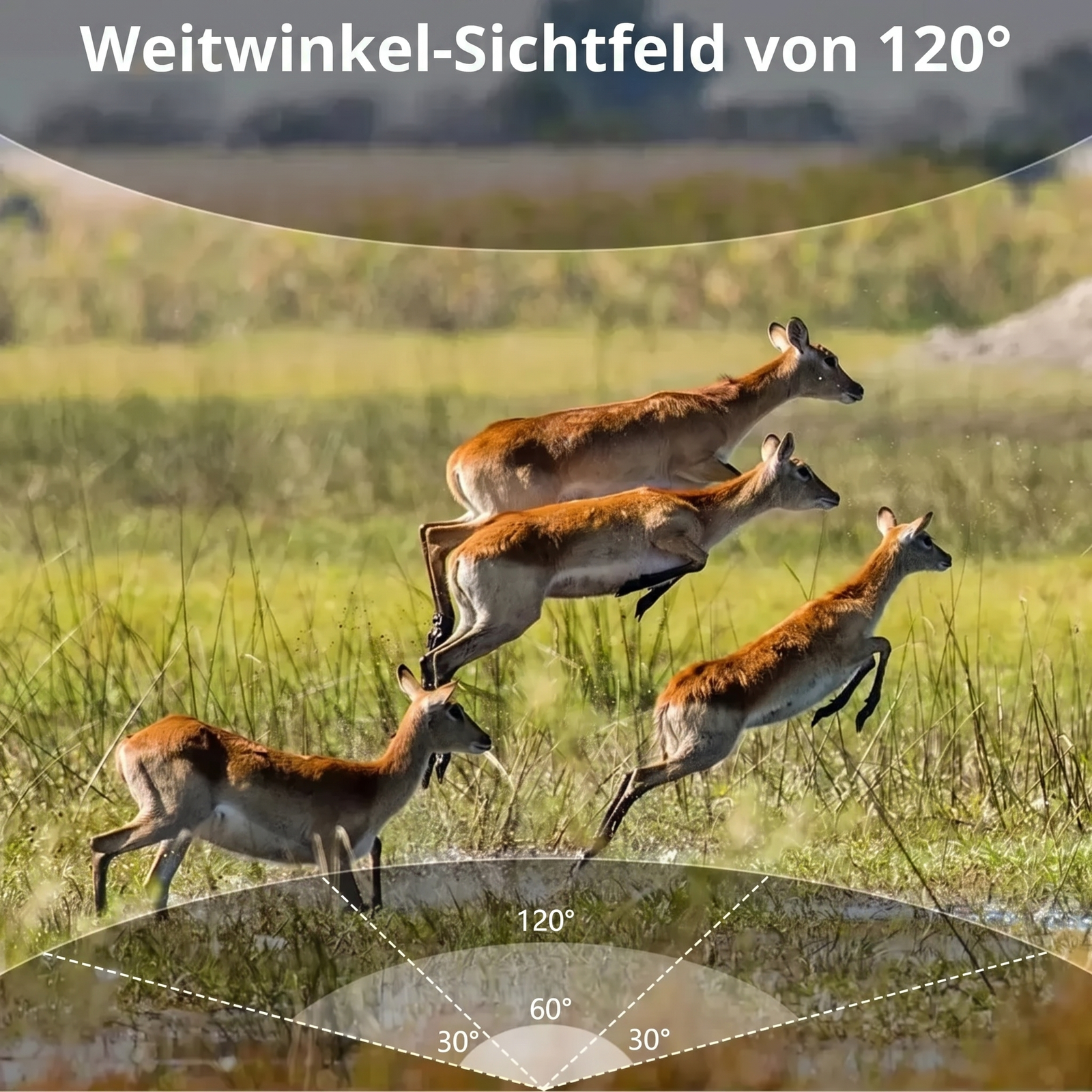 Weitwinkel-Sichtfeld von 120 Grad Wildkamera