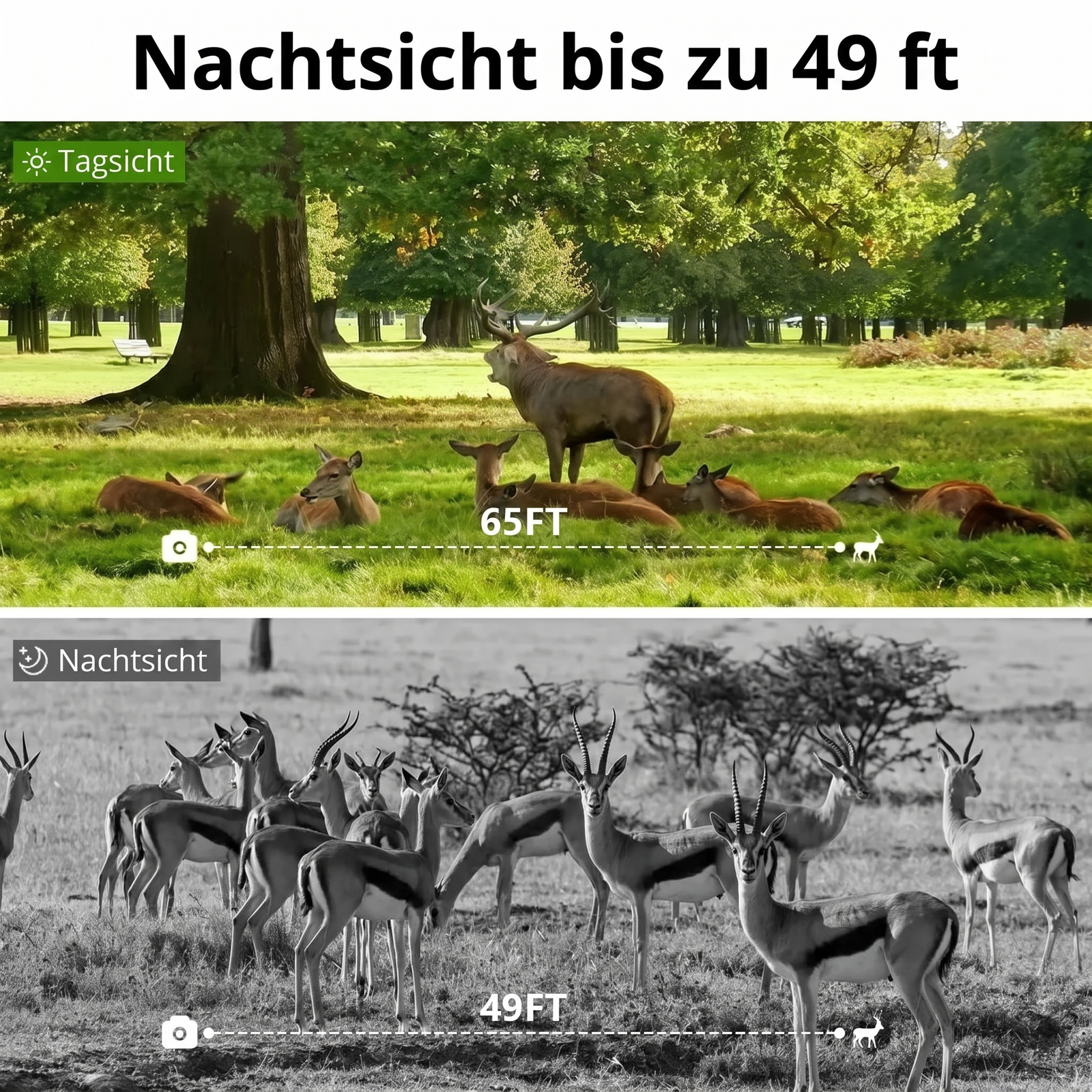 Nachtsicht bis zu 49 ft Wildkamera