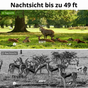 Nachtsicht bis zu 49 ft Wildkamera
