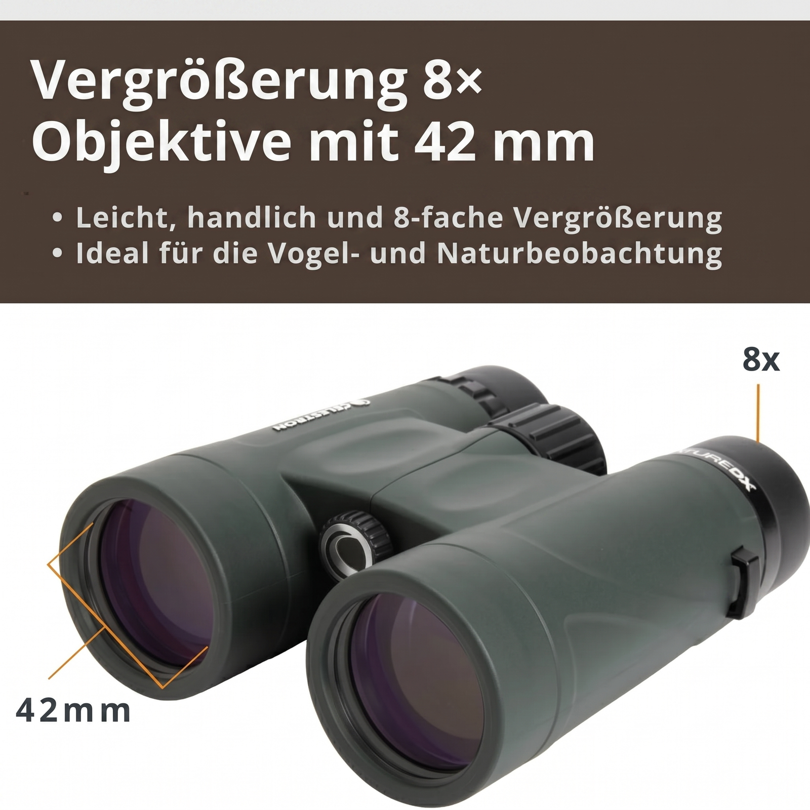 Vergrößerung 8x Objektive 42mm Fernglas